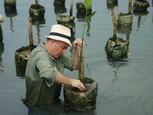 Фантастична планета, 1–16, 3С