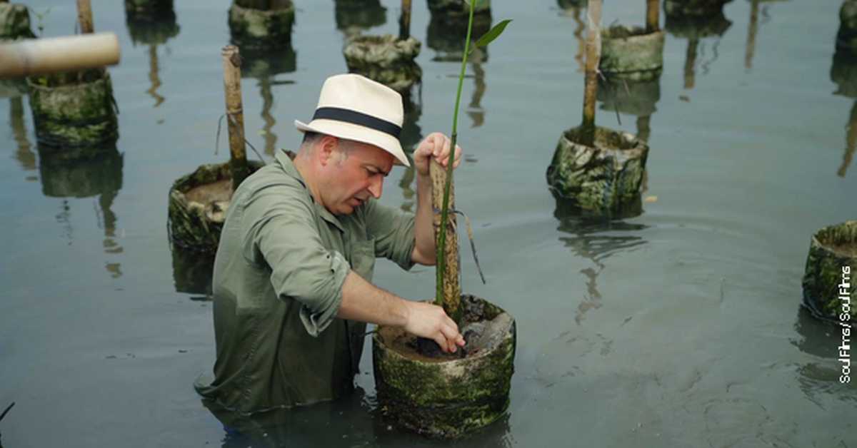 Фантастична планета, 1–16, 3С