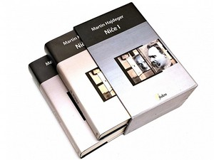 Милан Брдар: Хајдегеров нихилизам (5)
