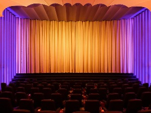 Тихомир Стевановић: Густав (премијера)