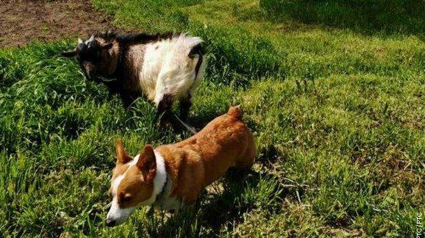 Екологери: Тамо где срећа станује