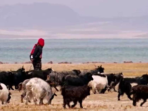 Кров света, 5. емисија