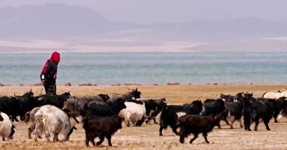 Кров света, 5. емисија