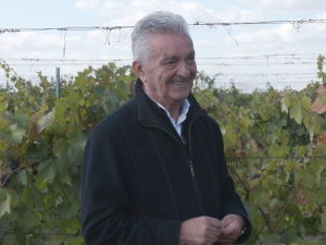 Берба грожђа приведена крају