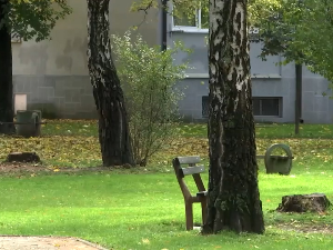 Лозница: Зашто грађане брине сеча стабала Лозница: Зашто грађане брине сеча стабала