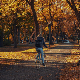 Ујутру киша, током дана разведравање, температуре до 17 степени (pixabay.com / Michael_Pointner) Ујутру киша, током дана разведравање, температуре до 17 степени