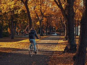 Ујутру киша, током дана разведравање, температуре до 17 степени (pixabay.com / Michael_Pointner) Ујутру киша, током дана разведравање, температуре до 17 степени