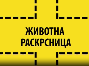 Животна раскрсница: Елса