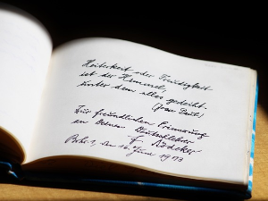 Породична прича