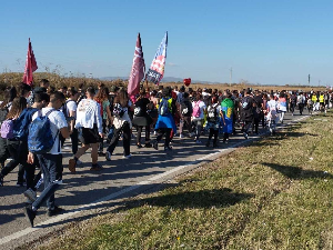 Студенти након одмора у Инђији наставили пешачење ка Новом Саду (Фото: Фонет/Лука Мијаиловић) Студенти након одмора у Инђији наставили пешачење ка Новом Саду