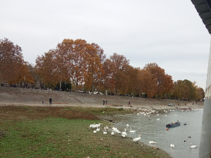 Јутарњи викенд програм