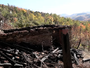 На источним обронцима Копаоника изгорело шест штала