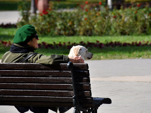 Прохладно јутро, сунчан дан – температура до 25 степени Прохладно јутро, сунчан дан – температура до 25 степени