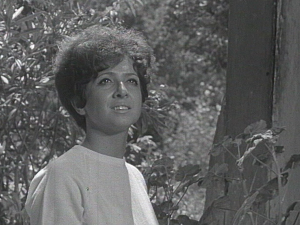 Сваки дан једна песма - Василија