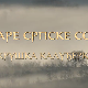 Еко минијатуре/ старе српске сорте-Крушка калуђерка