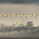 Еко минијатуре/ старе српске сорте-Дуње