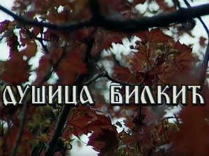 Лети, лети песмо моја мила: Постер Душице Билкић