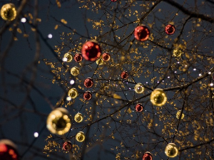 Спорт и у Новој години