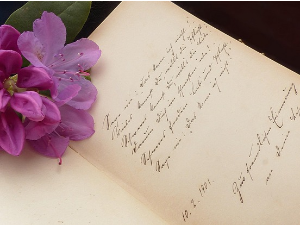 Стеван Тонтић: ,,Анђео ми бану кроз решетке"