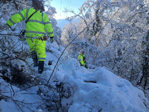 Србија под снегом, струја почела да стиже у Мајданпек и мионичка села 