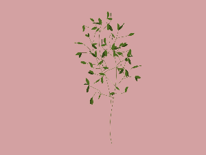 Добро јутро децо: Дрво