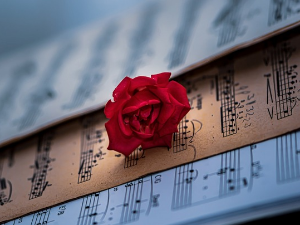 Жене у музици