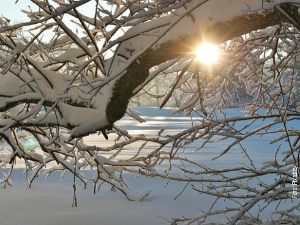 Јутарњи програм из три студија