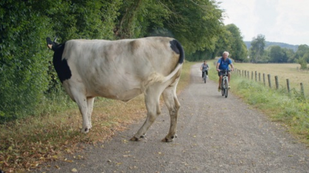 Зелени начин живота