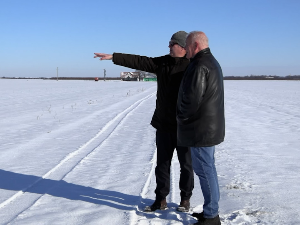 Снег чува пшеницу. Стручњаци саветују како прихранити усеве