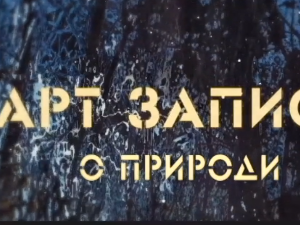 Арт записи о природи, 3. ем.