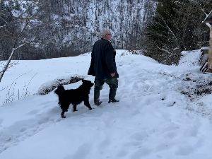 Сточар са Голије