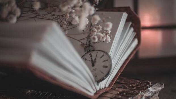 Фамилиологија: Породична прича