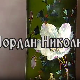 Постер Јордана Николића