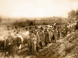 110 година голготе короз Албанију