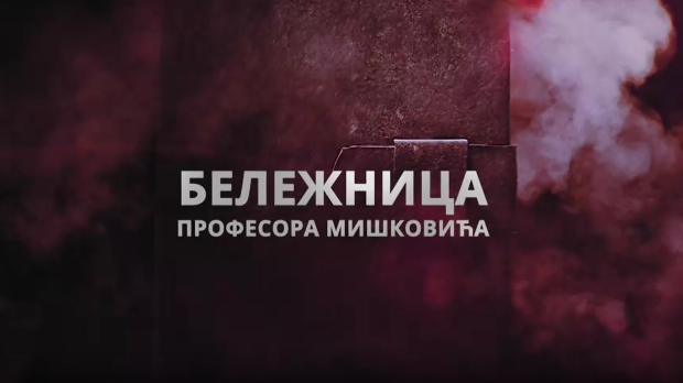 Бележница професора Мишковића, 1-12