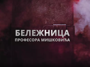 Бележница професора Мишковића, 3-12