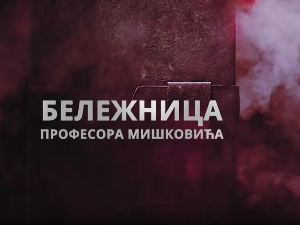 Бележница професора Мишковића, 5-12