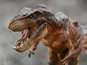 Нове анализе показале да је ти-рекс био дуговечнији него што су научници процењивали