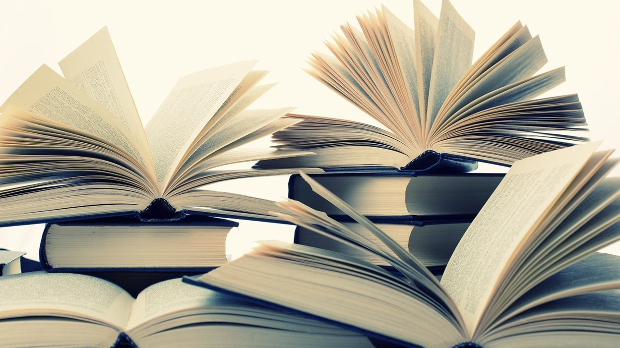 Јелена Ленголд: ,,На погрешном месту“