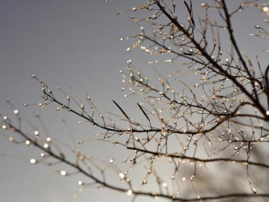 Јутро са мразем, током дана сунчано уз јаку кошаву