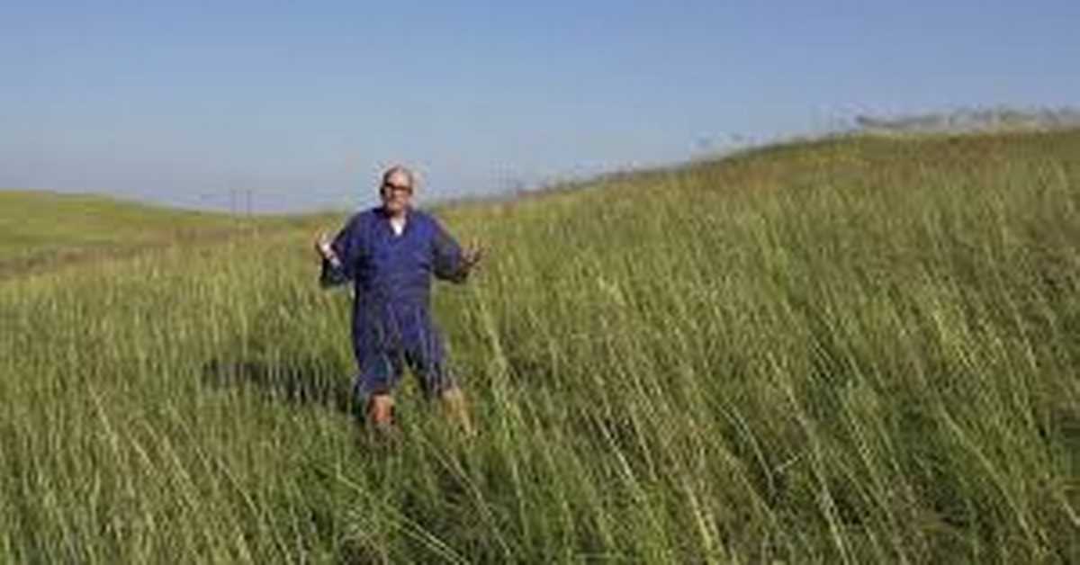 Уметност буке: Вудсток, 2-5