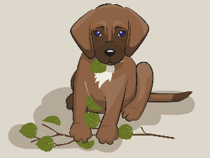 Пас који је испустио плен