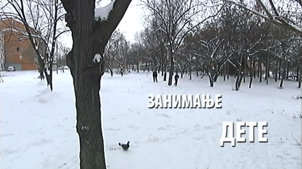 Занимање дете: Вукашин Трујић