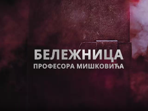 Бележница професора Мишковића, 8-12