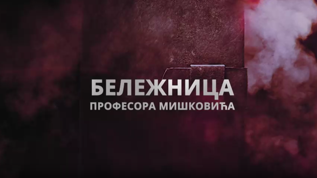 Бележница професора Мишковића, 8-12