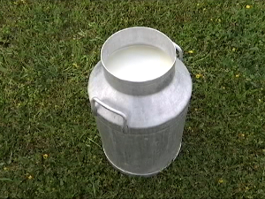 Вишак млека гуши фармере – откуп стао, цене пале; стручњаци упозоравају: Увоз јефтиног сира прави пометњу