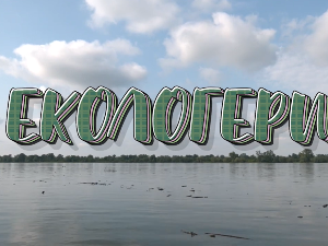 Екологери: Боје у срцу