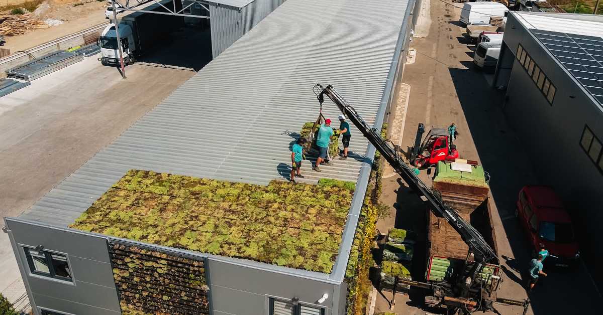 Како зелени кровови могу спасити урбану природу и спречити поплаве