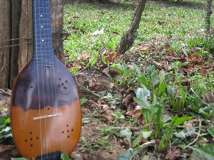 Тамбурица златна жица