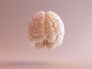 Асиметрија људског мозга